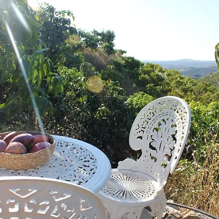 Finca El Mundo Eco - Casita